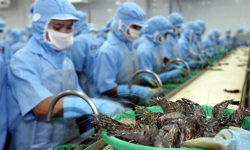 Vietnam among world’s most food-self-sufficient nations: study